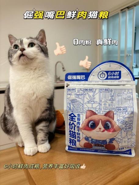 哪种猫粮比较好又不贵？给爱猫的主粮这样选(图2)